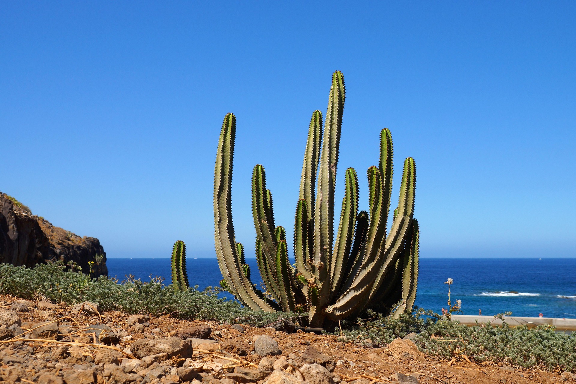 Yucca Park
